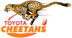 Cheetahs